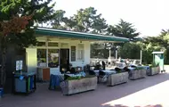 Ironwood BBQ