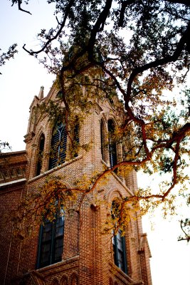 Church across the street from the Columns Hotel