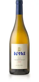 chardonnay
