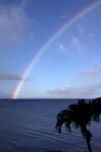 rainbow vertical