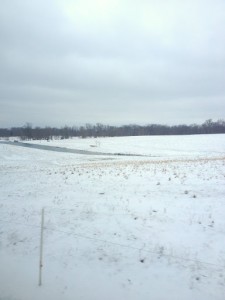 Snowy, grey March countryside