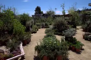 Gardens with 100% native California plants