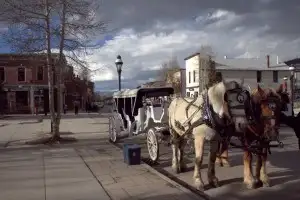 Horse drawn carriages in downtown Breck