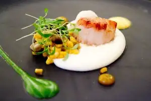 Scallop dish