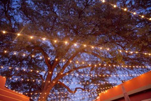 Under the white lights on Enotria's patio
