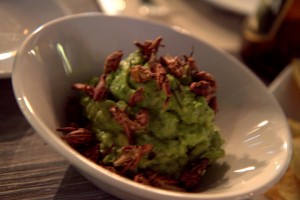 Guacamole topped with fried grasshoppers