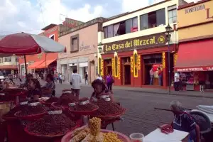 Oaxacan streets alive with mole, mezcal & chapulines (fried grasshoppers)