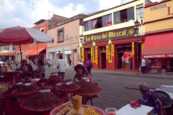 Oaxaca's oldest mezcal bar fronted by chapulines (grasshopper) sellers