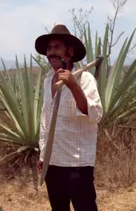Hanging with jimadors & distillers in the mountains of Oaxaca (see Wandering Traveler)