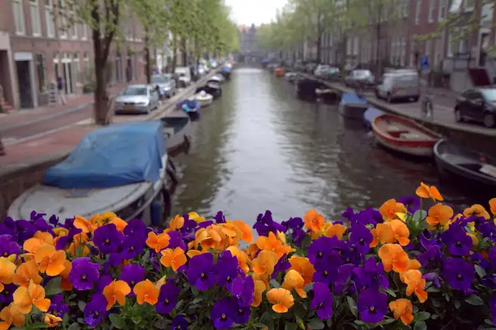 Wandering Amsterdam's canals