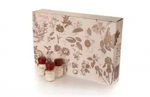 Ginvent