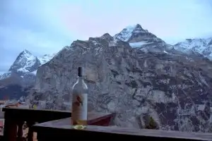 Sipping Chasselas from my deck