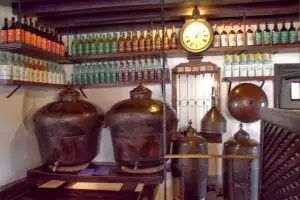 At Nardini's tasting room