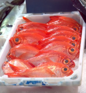 Pristine fish