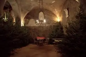 Christmas tree-lined courtyard