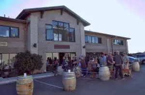 Weekend crowds at Sante Adairus