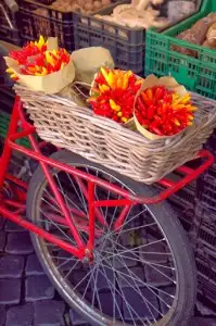 Gorgeous: chilis on a bike