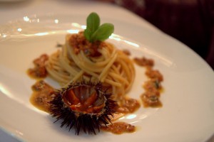 Sea urchin spaghetti