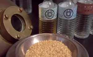 Grain sourced for distilling at Sun