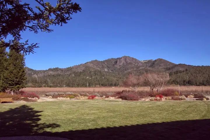 View of the Mayacamas Mountains from St. Francis Winery lawn
