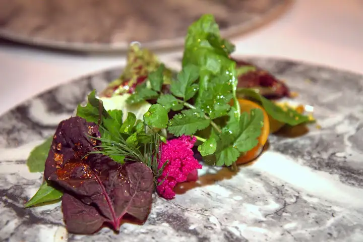 Californios vibrant tasting menu