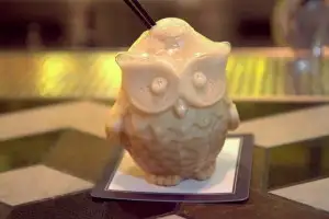Adorable yinyuang owl mug at The Envoy
