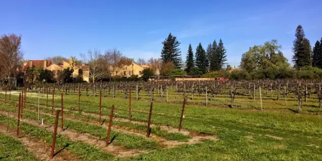 Walking Vintners Inn's jogging trail through the vines behind the hotel