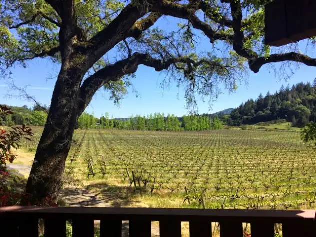 View from Yorkville Cellars deck