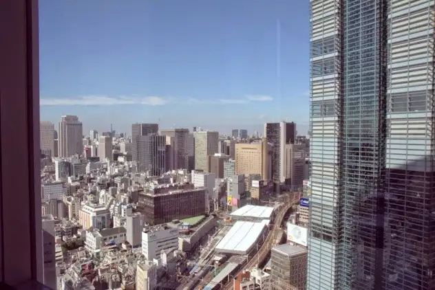 View from a table at Hanasanshou