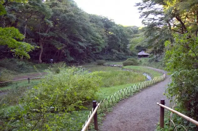 A needed respite of green in Tokyo's endless expanse: wandering the grounds of the Meiji Jingu (Meiji Shrine)