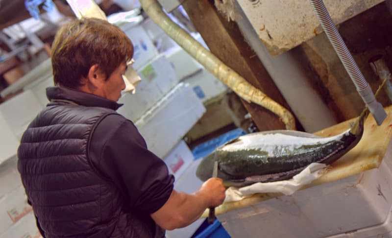 Tsukiji Fish Market 7-Virginia Miller