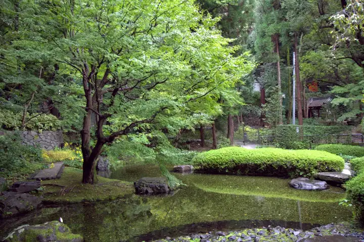 Soothing gardens and a pond behind the distillery