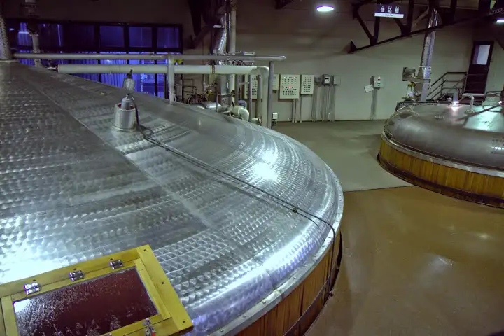 Extracting sugars from grain in mash tuns