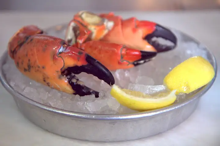 South Carolina stone crab at 167 Raw