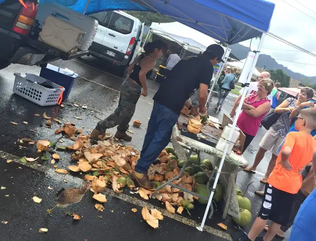 Fresh cut local coconuts to drink out of at the Lihue Farmers Market