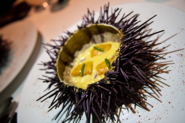 Tusk's sea urchin risotto