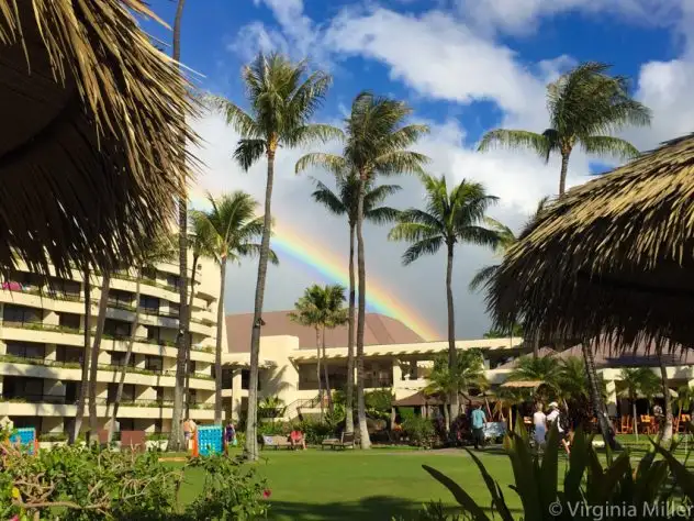 Rainbows every day, here on my first day at Sheraton Maui 