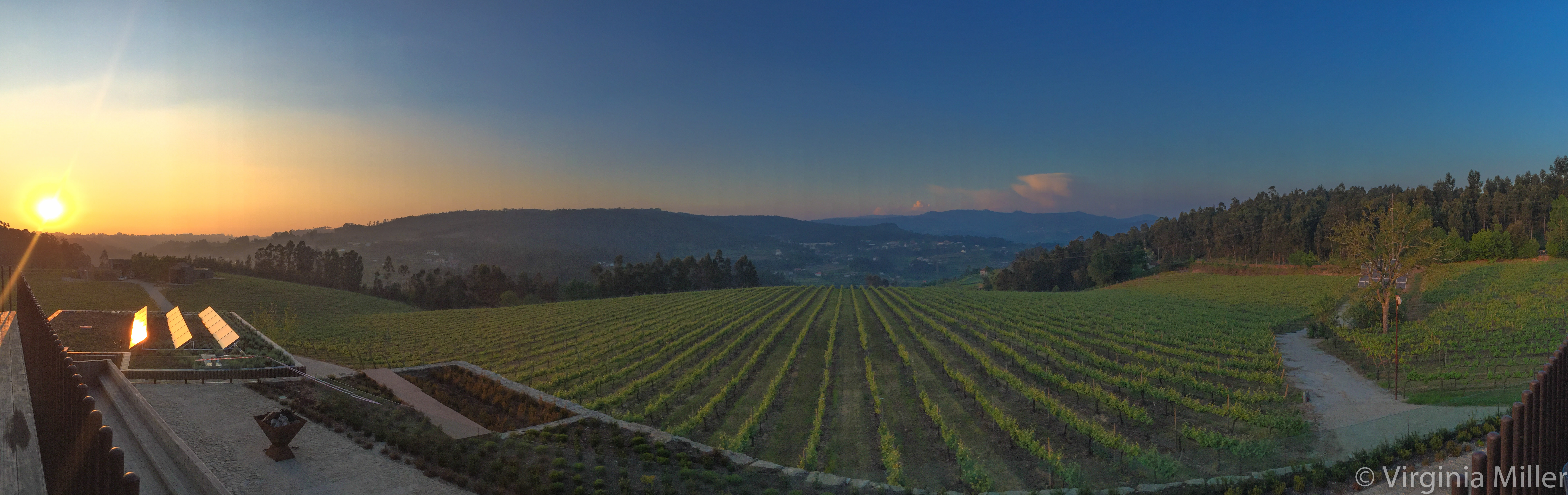 Sunset view (with rose) from the deck of Monverde Wine Experience Hotel