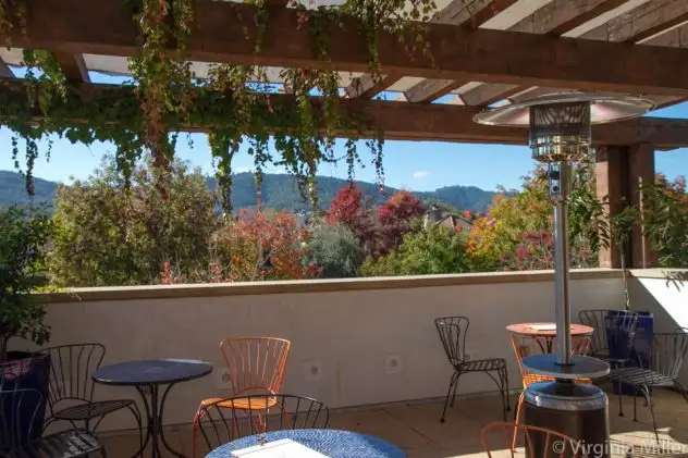 View from Protea rooftop patio