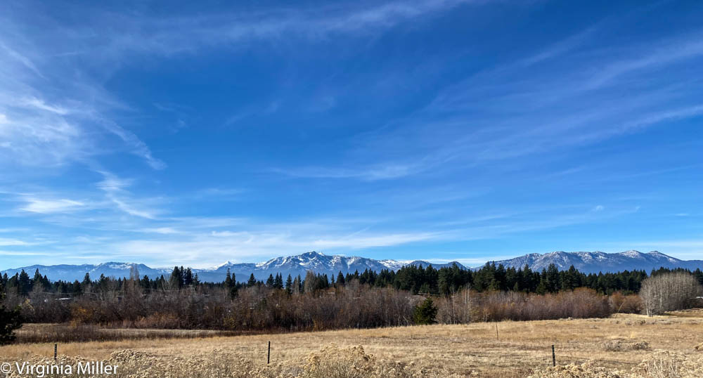 Escape to Nevada's Hidden Gem: Carson City's Campground Oasis